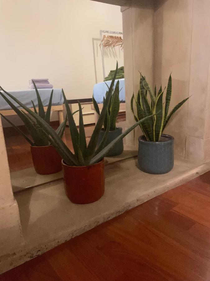 Loft Ponte Pietra Villa Верона Екстериор снимка